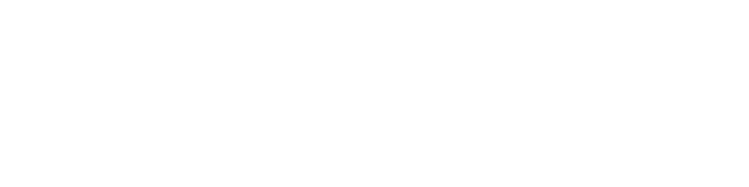 ZENSEACT ICON